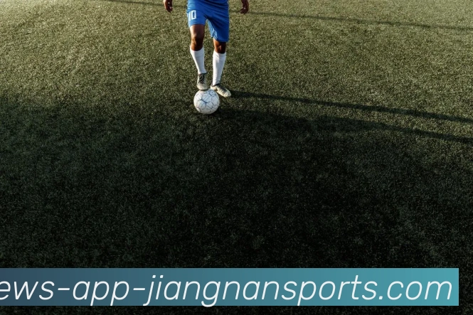 江南体育平台生态图