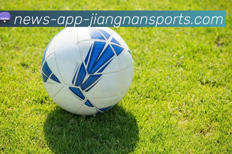 江南体育APP 封面图